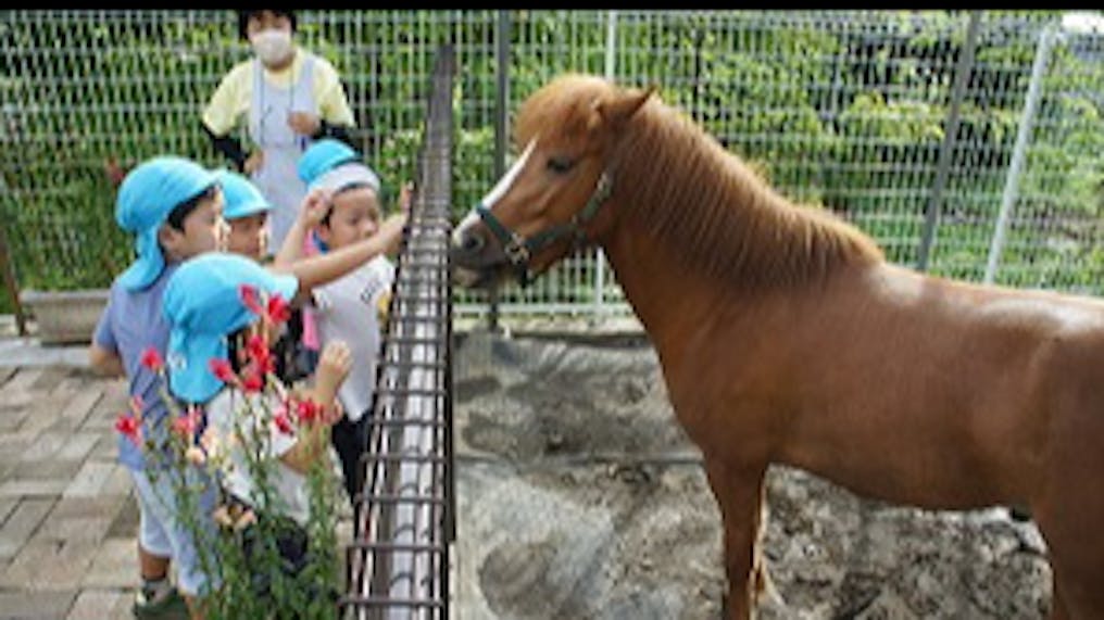 ポニーの小次郎くん