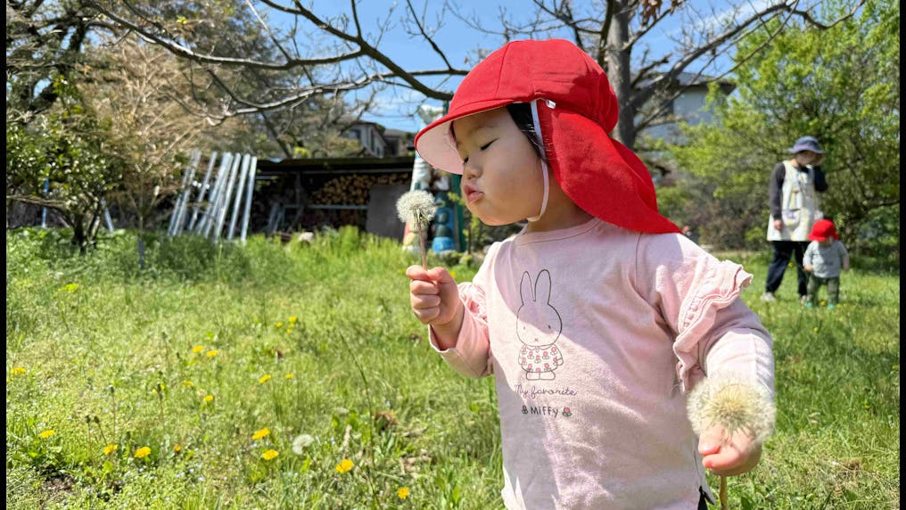 自然豊かな周辺環境