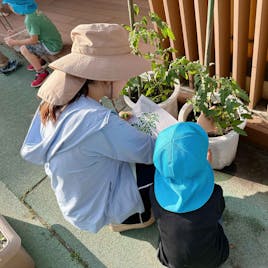 保育士・H.O先生