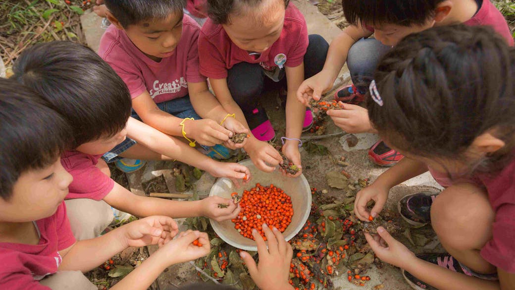 身につく「考える力・乗り越える力・自己肯定感」