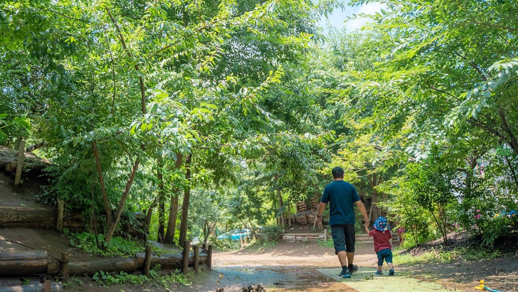 つくばの里山を再現した自然豊かな園庭