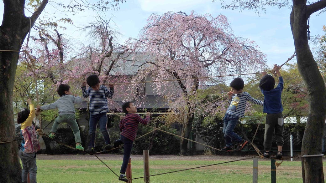 四季折々の自然豊かな環境の中でのびのびと遊んで育ちます