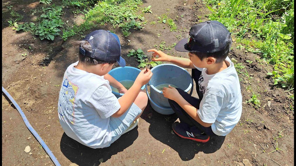 東京学芸大学構内の「いけとおがわプレーパーク」まで徒歩５分