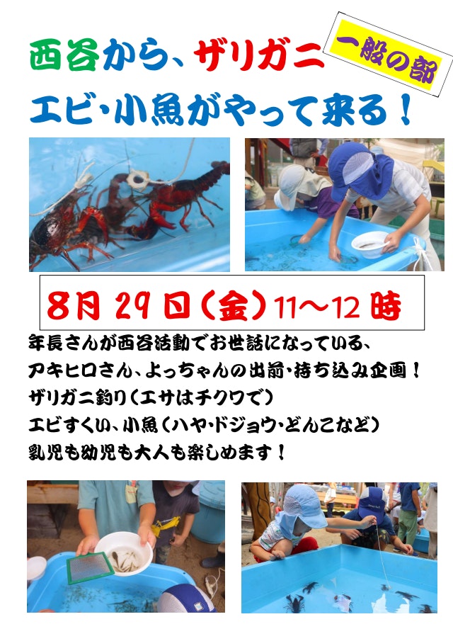 ザリガニ釣り