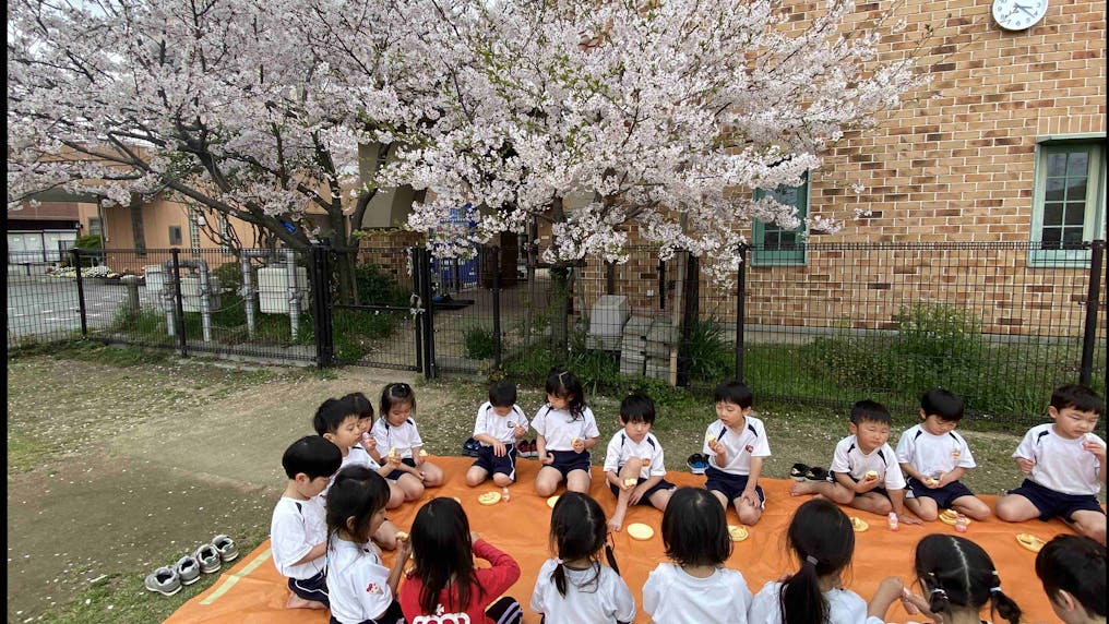 お花見