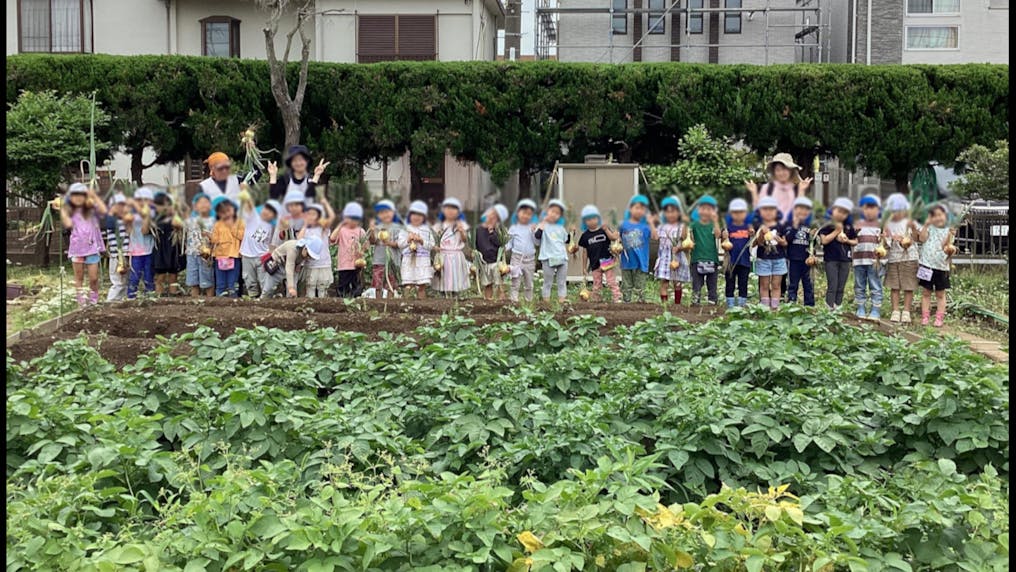 畑で季節ごとの野菜を育てています
