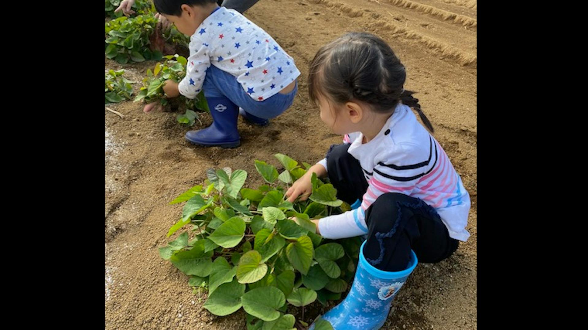 得意分野を活かした働き方ができます。