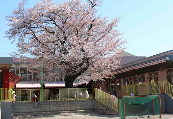 田無向ヶ丘幼稚園