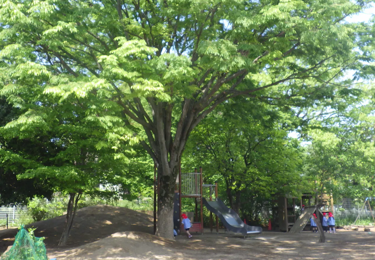 さくら第二幼稚園