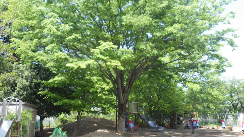 八千代市の幼稚園型認定こども園での保育教諭の仕事