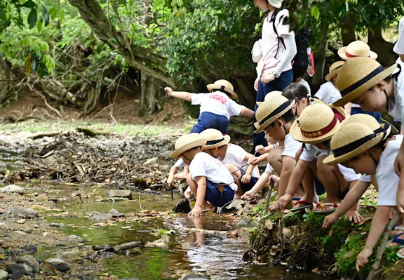 認定こども園聖光幼稚園