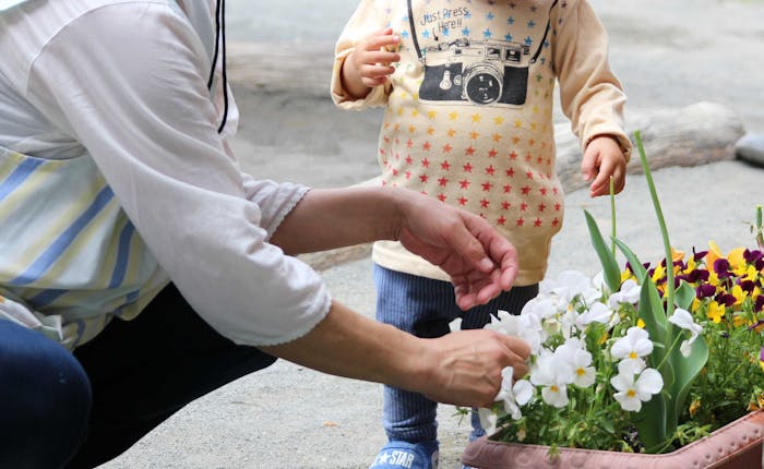 ちびっこはうす保育園の保育理念・方針