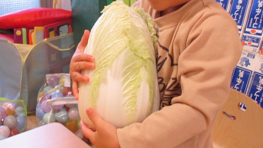 触って、匂って、食べる！　食育！