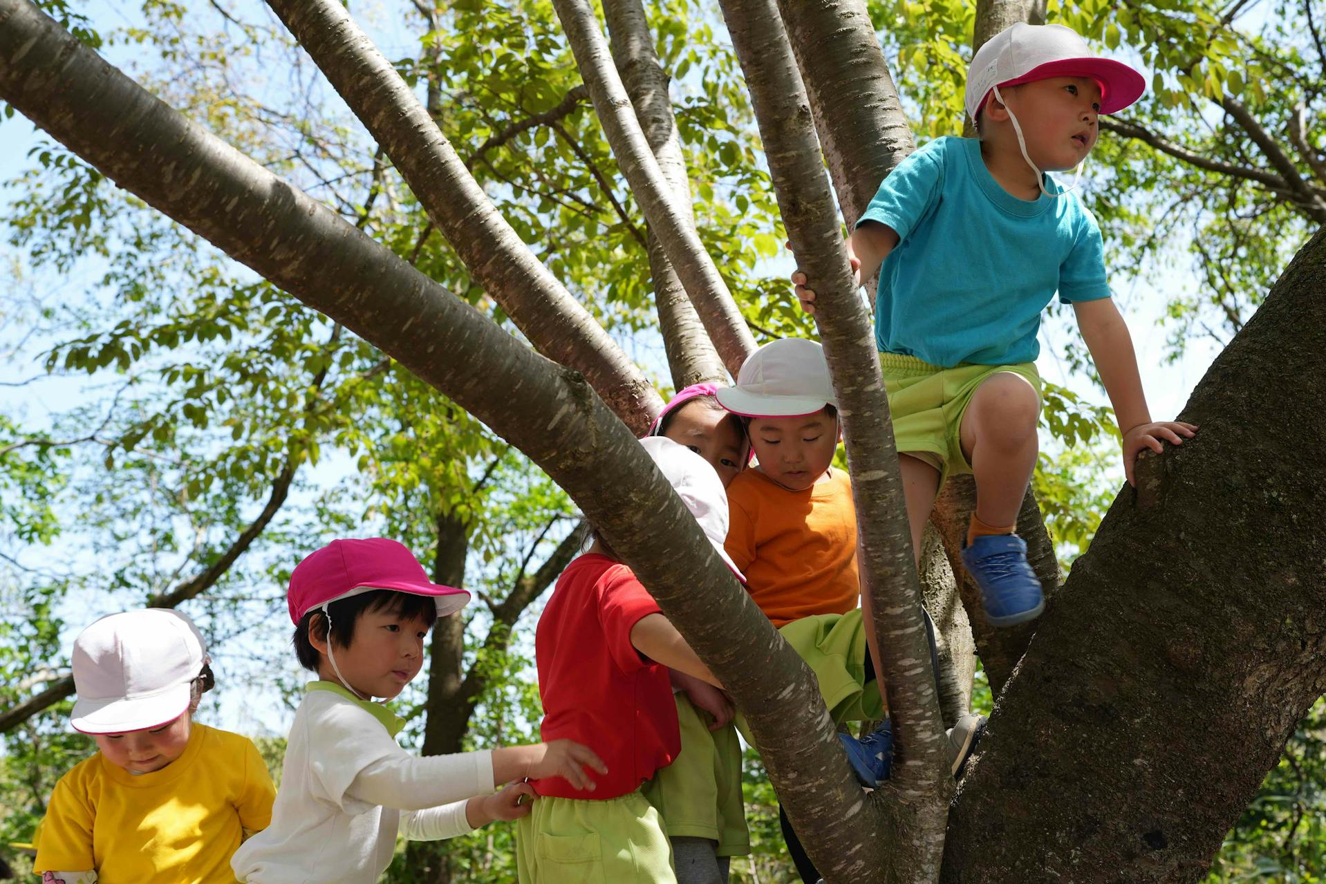 外遊びが好き、身体を動かすことが好き、自然が好きな方大歓迎！