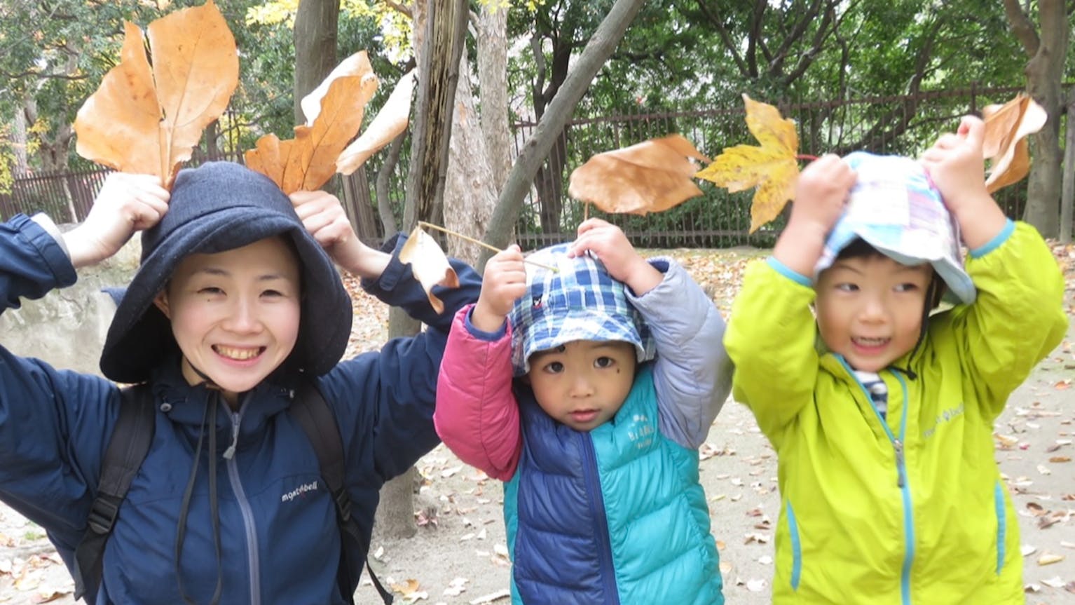 インターンシップ募集（現在学生の方限定）