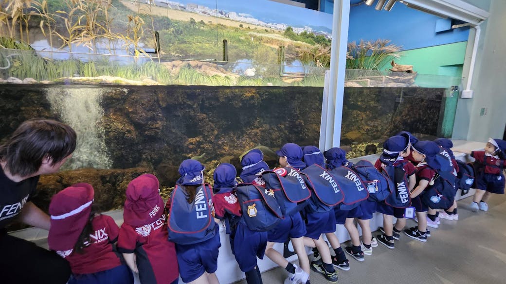 遊びと生活の中で育まれる学び