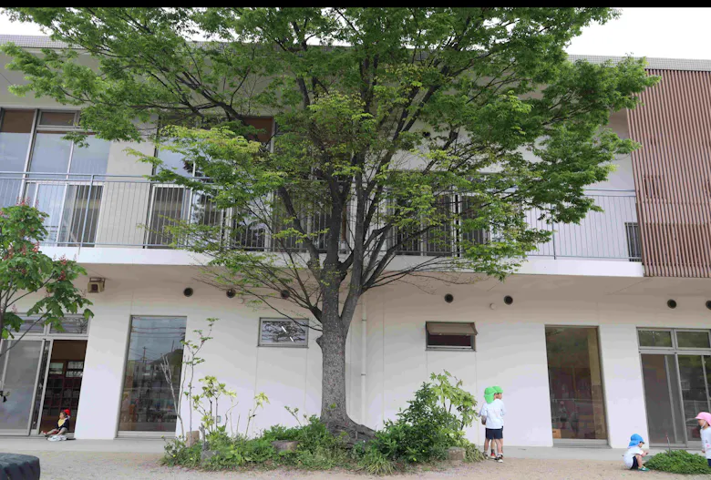 めぐみ保育園