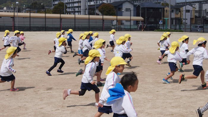 🌱 1年目は、“保育を知る・楽しむ”時期です