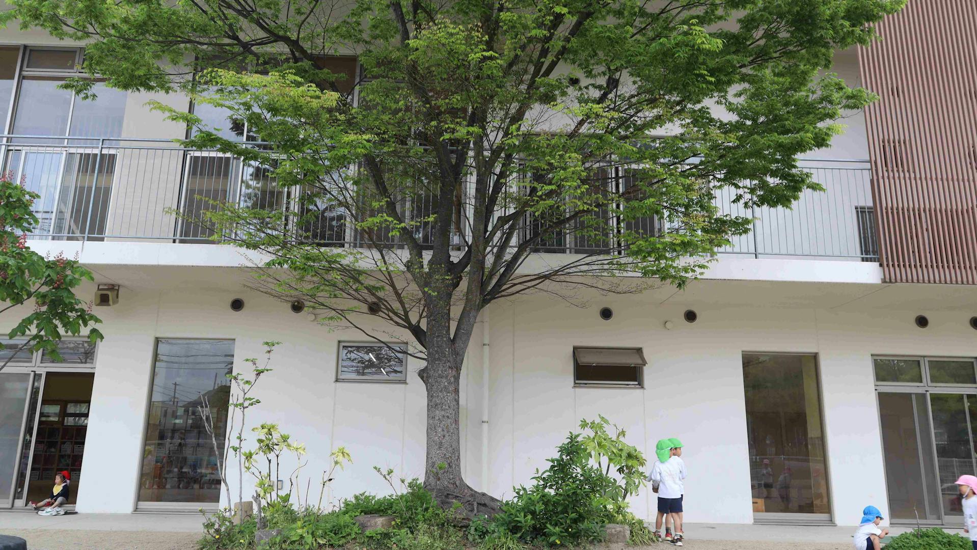 保育園でやさしく見守る看護師さん募集！