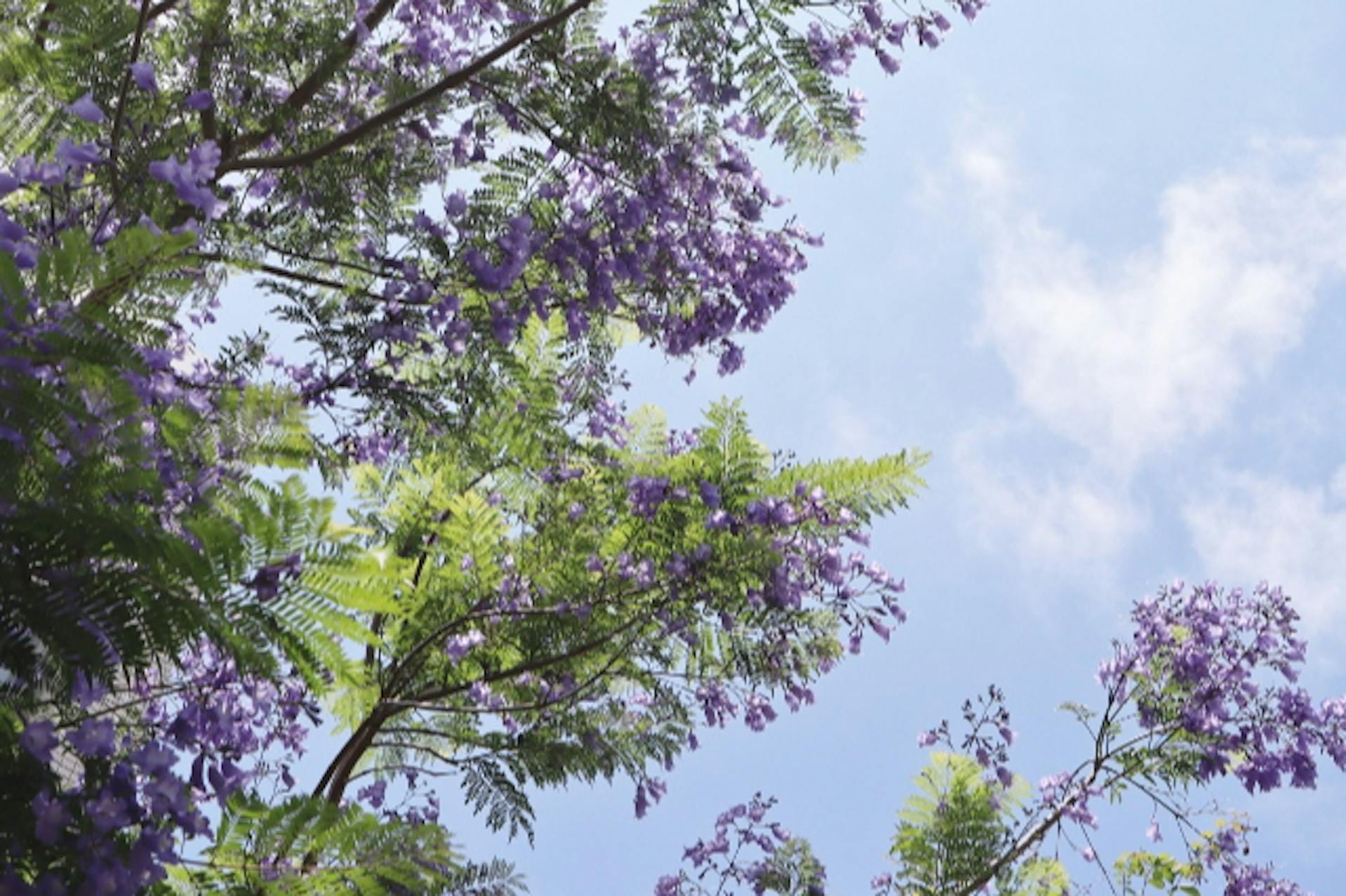 ブランクＯＫ！やさしさを活かせるお仕事です！