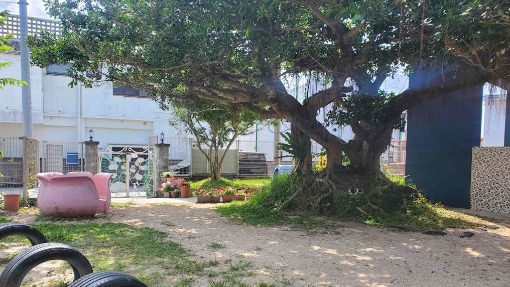 自然に囲まれてのびのび遊べます！