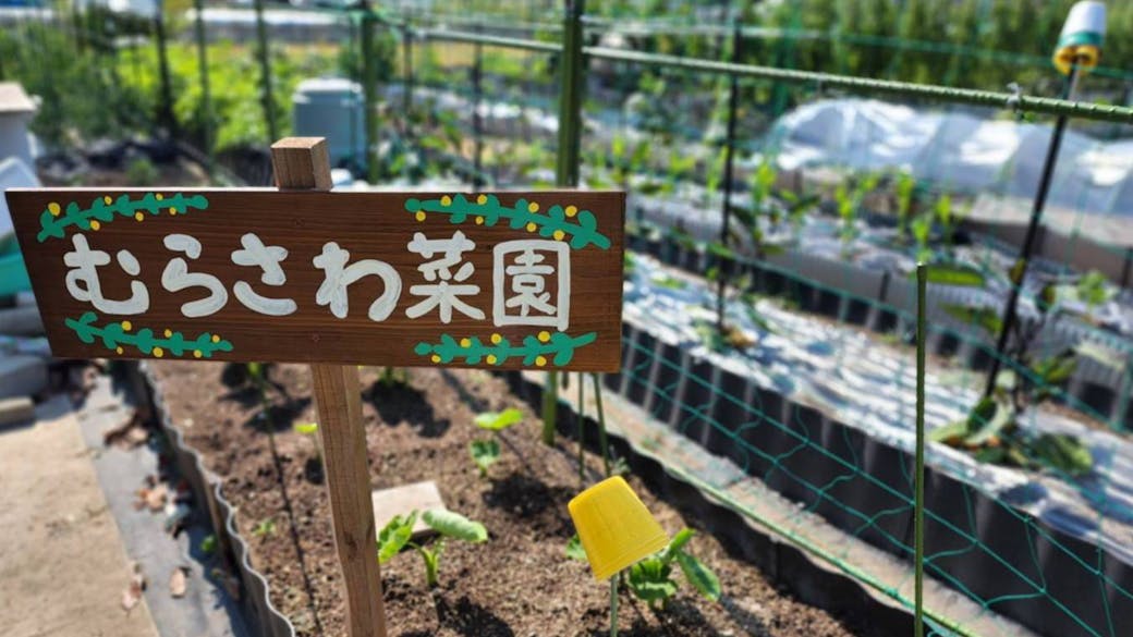 むらさわ菜園