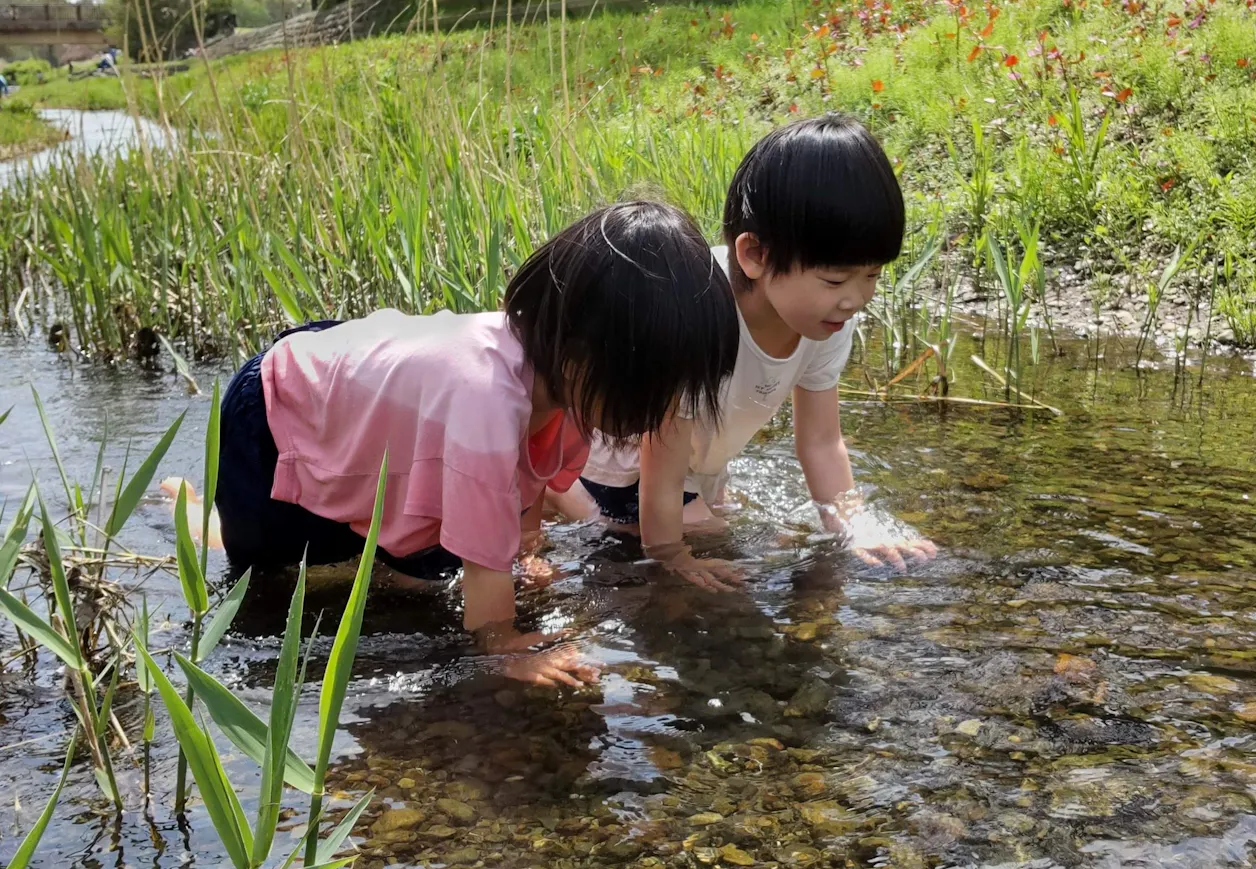 わらしこ保育園