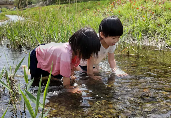 わらしこ保育園