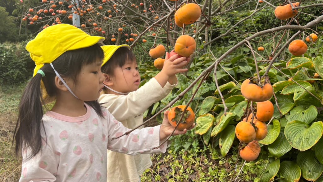 自然と遊ぼう！