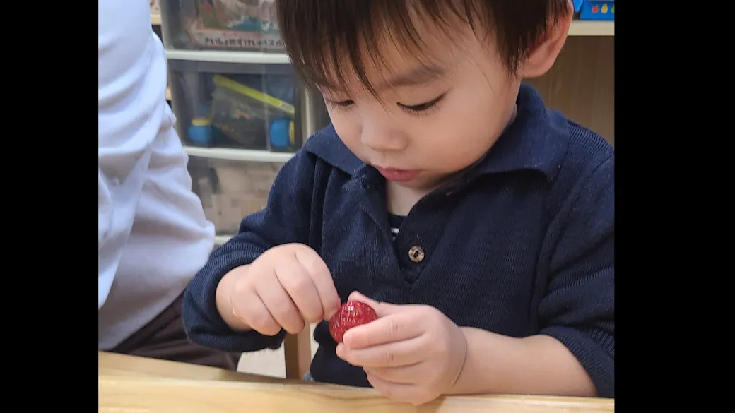 食べ物に触れよう！