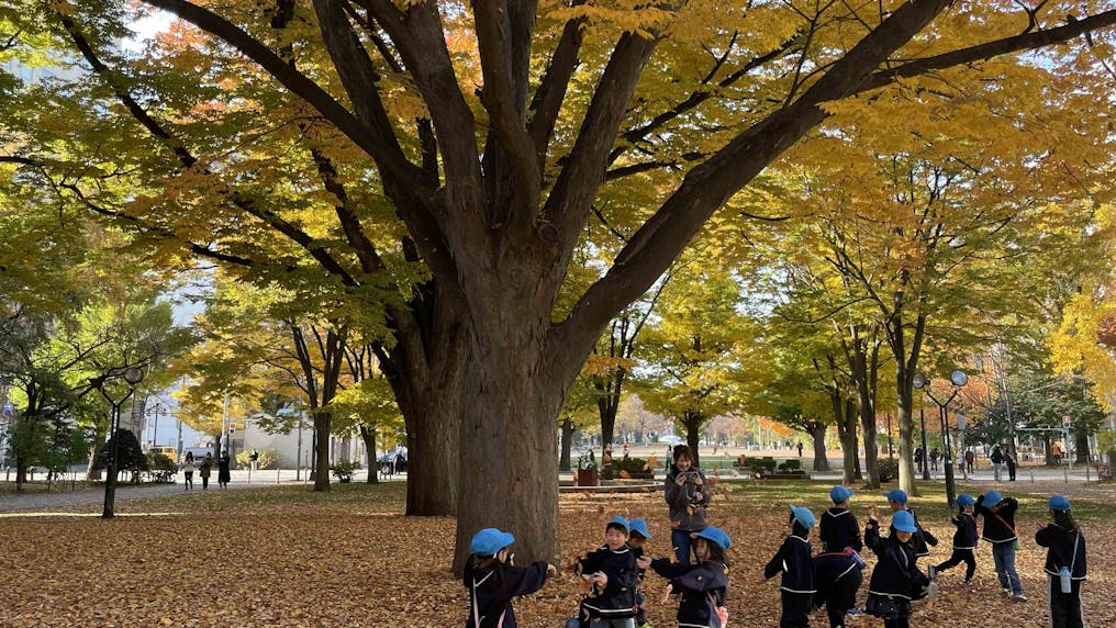 自然がいっぱい！