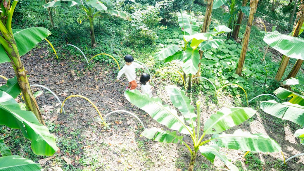 Nature & Animals 自然教育