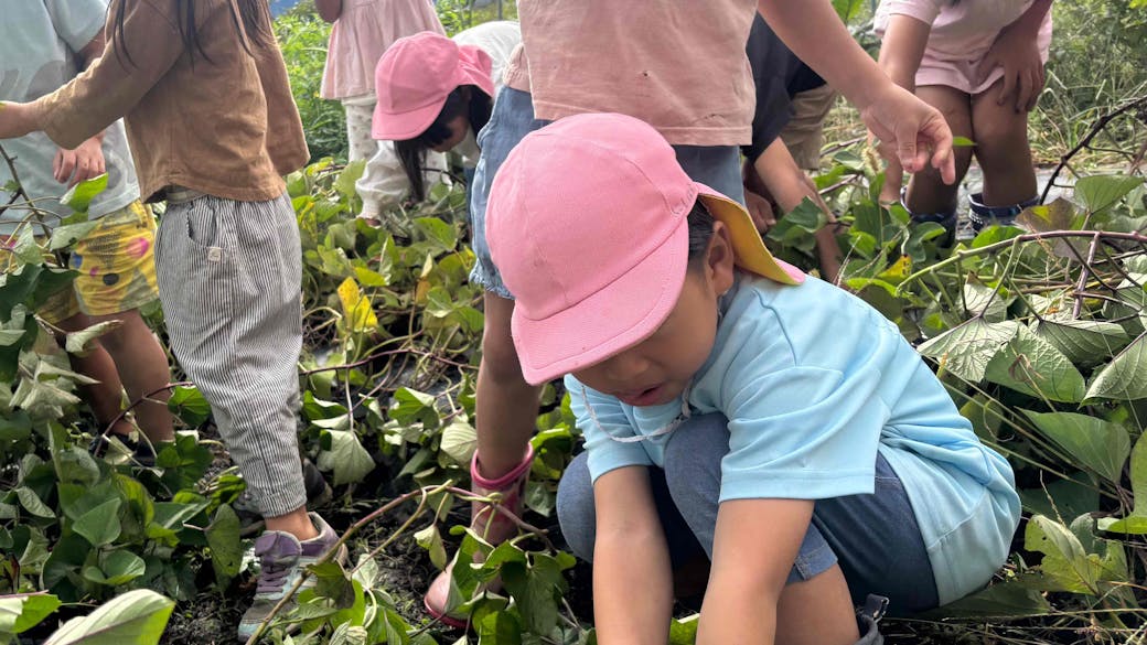 動物・植物とのかかわり