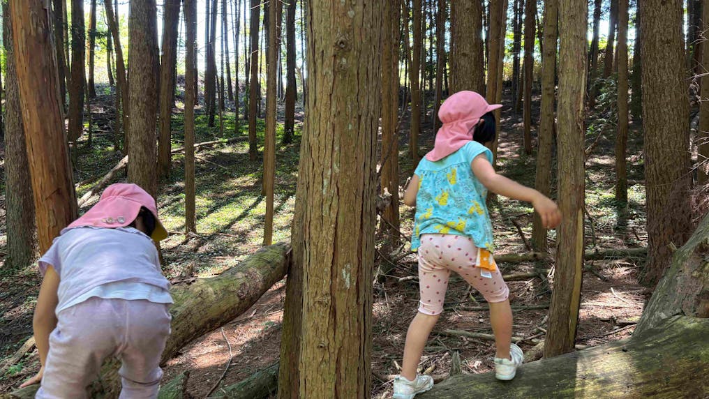保育園以外にも自然に恵まれた面白い場所はたくさん！