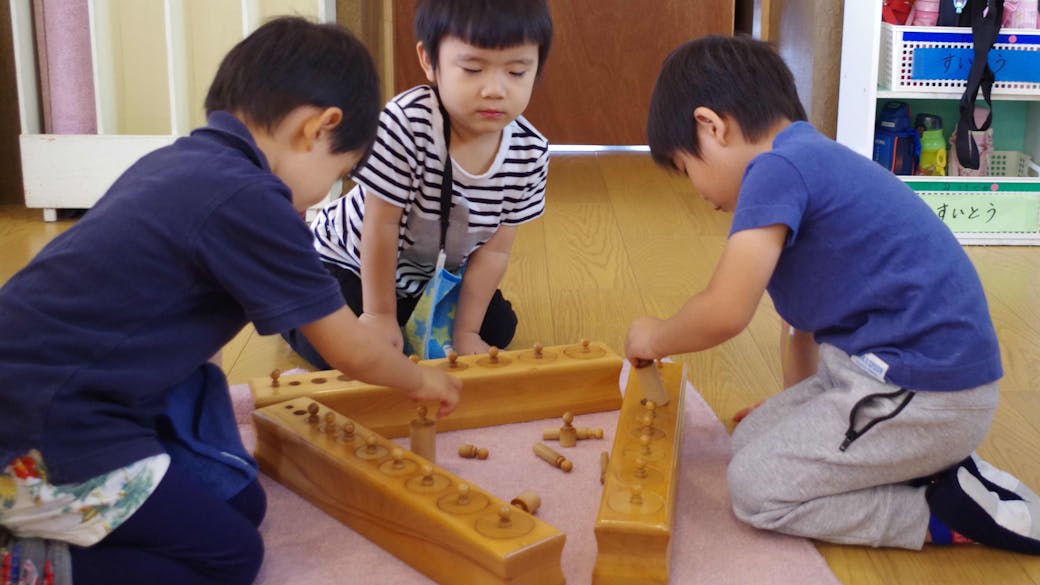 系統だったプログラム
