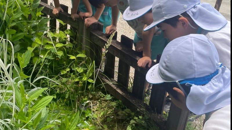片山幼稚園の保育理念・方針