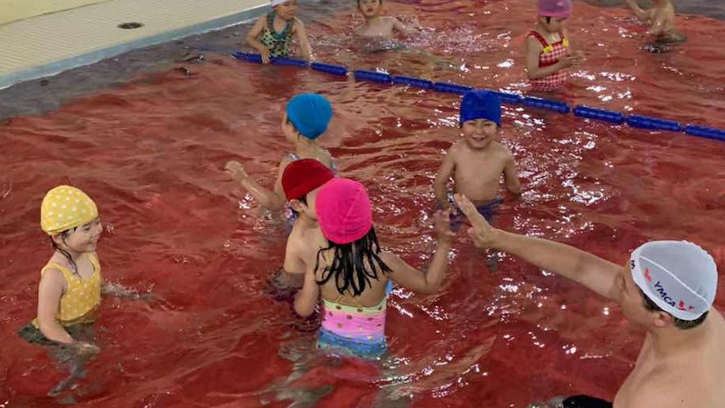 各種充実したレッスン！保育中に様々な体験をすることができます