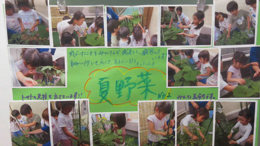 夏野菜を育てよう！（とうきょうすくわくプログラム推進事業）