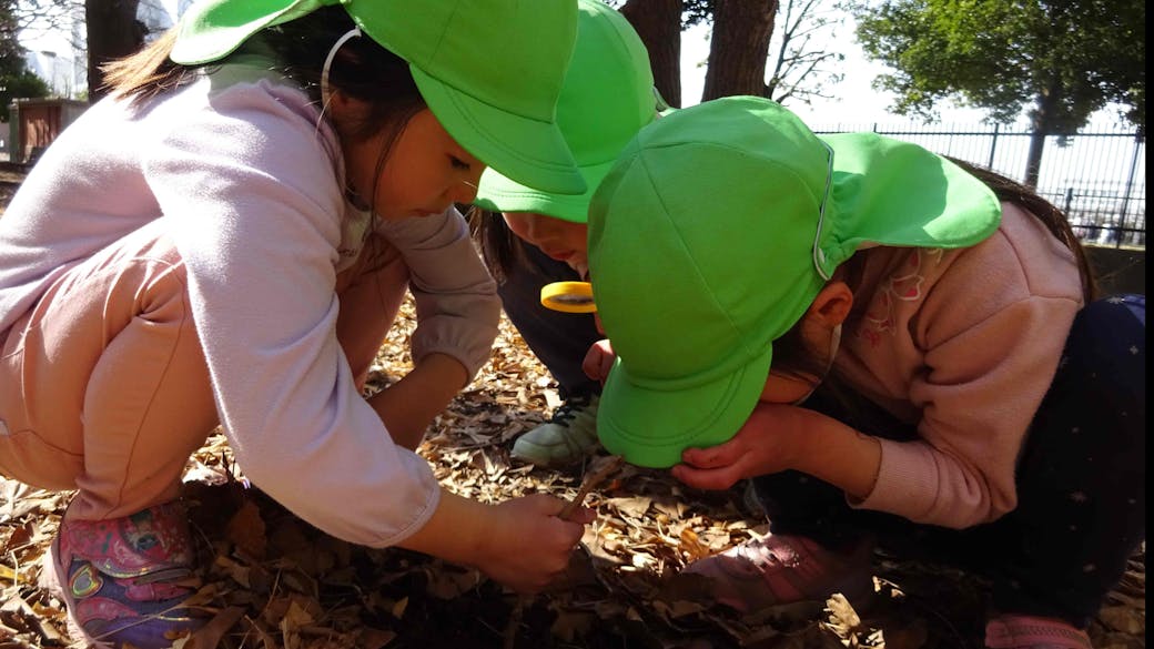 自然の中での遊び