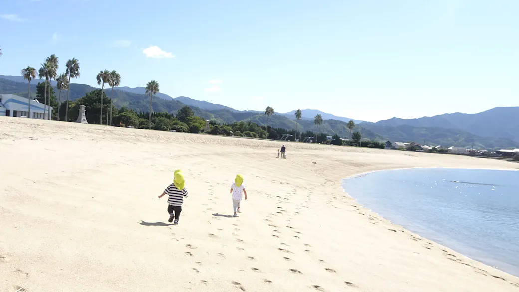 積極的な園外での活動