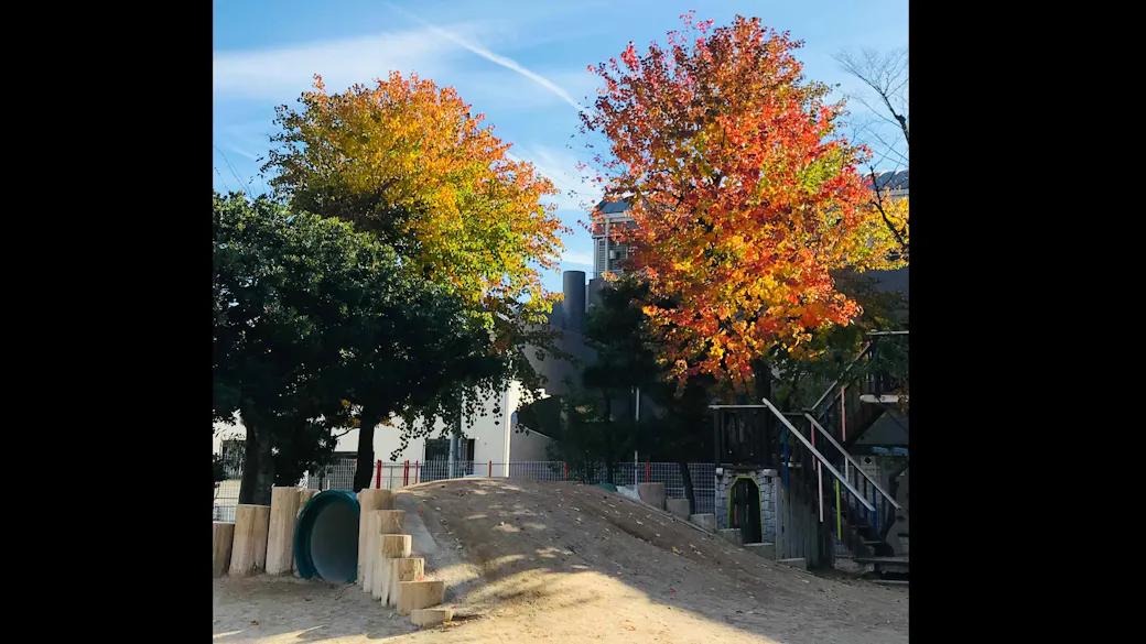広い園庭で季節を感じながら遊びます