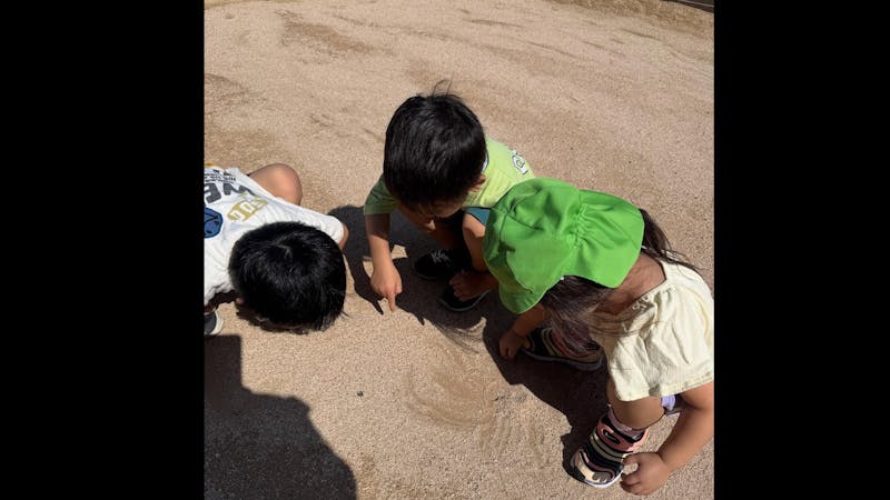 いろは児童発達支援の保育理念・方針