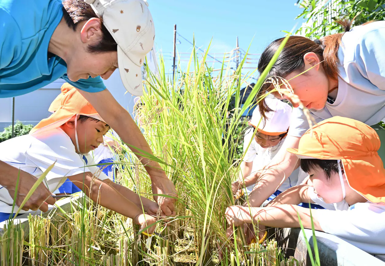 調布幼稚園（世田谷区/大田区/品川区/目黒区/川崎市から通園）