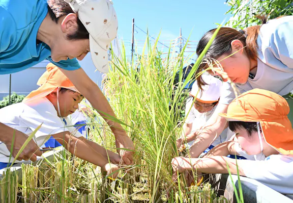 学校法人調布学園 調布幼稚園（世田谷区/大田区/品川区/目黒区/川崎市から通園）