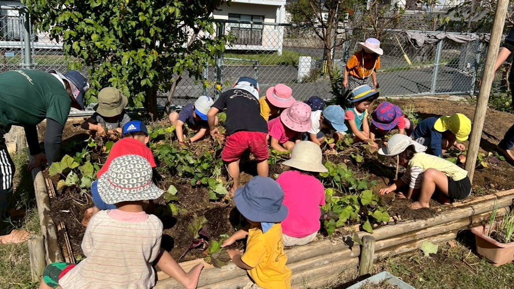 畑で季節ごとの野菜を育てています