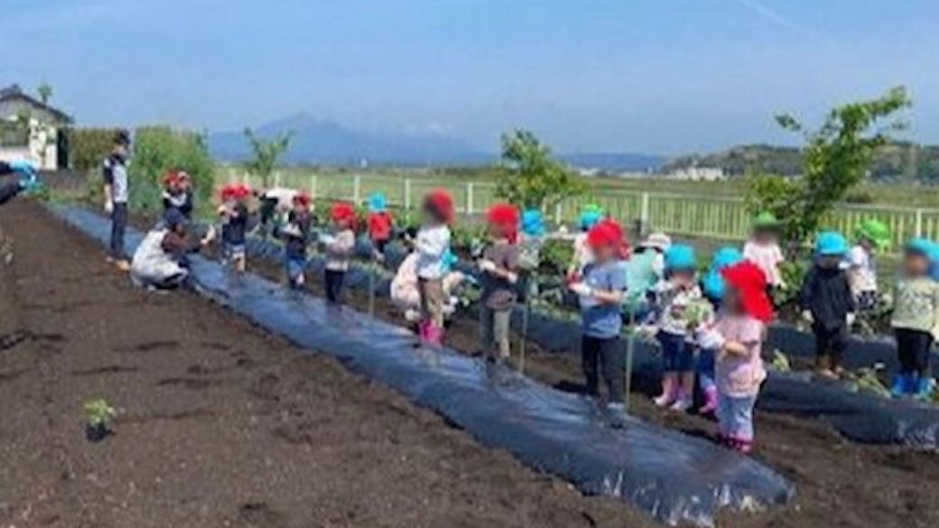 みどり農園と食育
