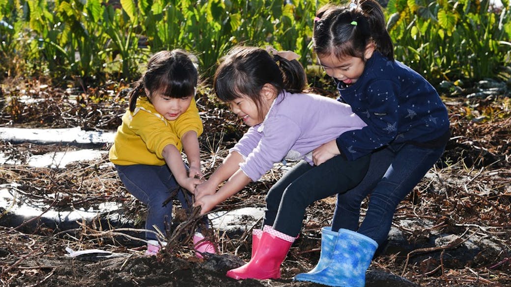 野外教育や食育