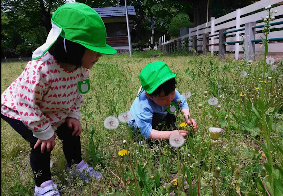 蔵王のもりこども園