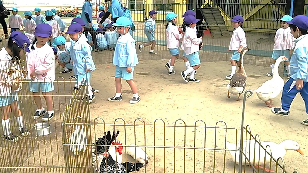 移動動物園の様子