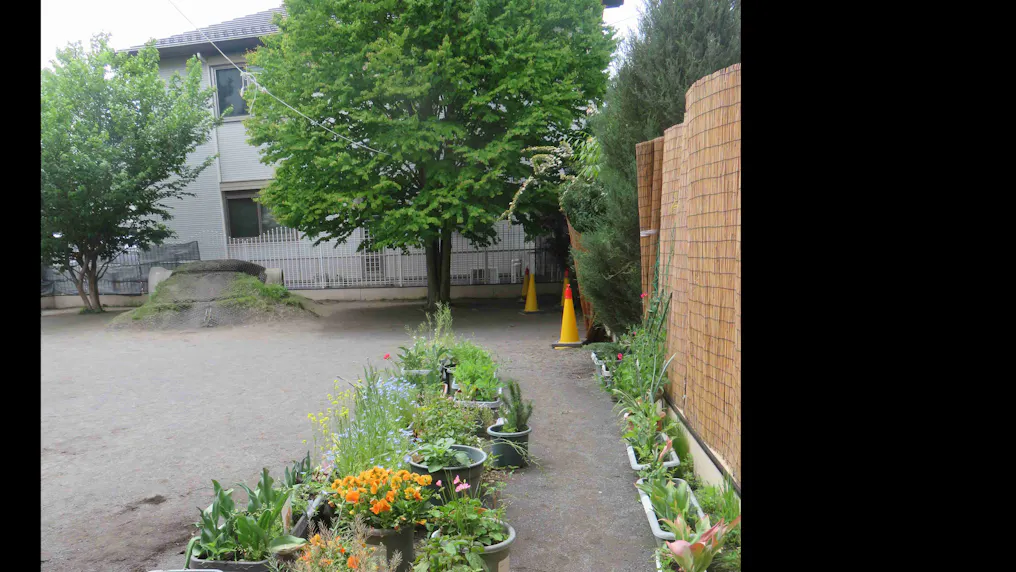 緑豊かな園庭